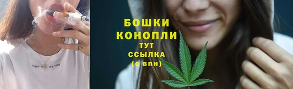 тгк Ельня