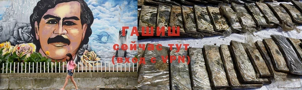 тгк Ельня