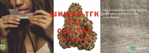 тгк Ельня