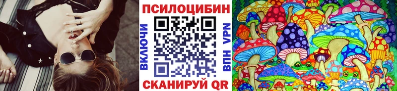 Купить  Никольское  Галлюциногенные грибы Psilocybine cubensis 