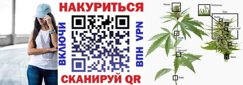 Купить где  Никольское  Бошки марихуана VHQ 